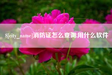 衢州消防证怎么查询,用什么软件