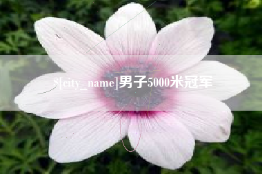 衢州男子5000米冠军
