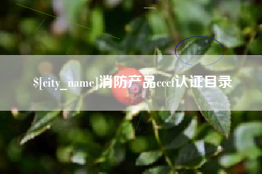 衢州消防产品cccf认证目录