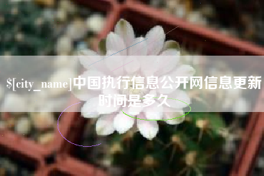 衢州中国执行信息公开网信息更新时间是多久