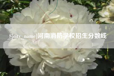衢州河南消防学校招生分数线
