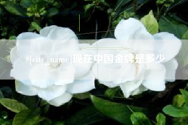 衢州现在中国金牌是多少