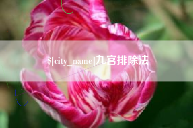 衢州九宫排除法