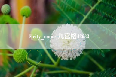 衢州九宫格42633