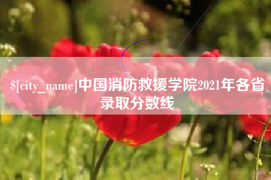 衢州中国消防救援学院2021年各省录取分数线