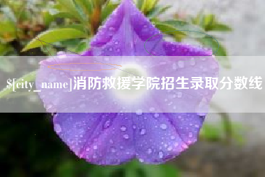 衢州消防救援学院招生录取分数线