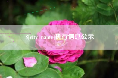 衢州执行信息公示