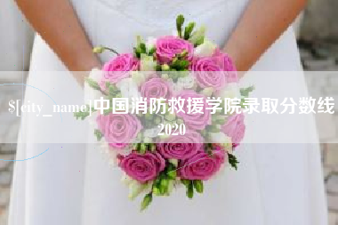 衢州中国消防救援学院录取分数线2020