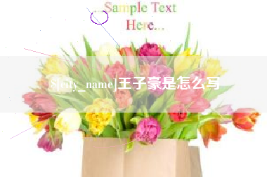 衢州王子豪是怎么写