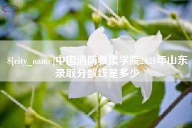 衢州中国消防救援学院2021年山东录取分数线是多少