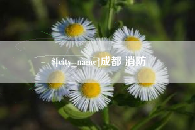 衢州成都 消防