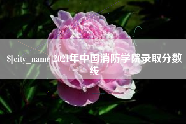 衢州2021年中国消防学院录取分数线