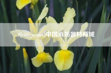 衢州中国消防器材商城