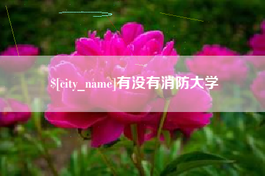 衢州有没有消防大学