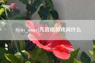 衢州九宫格游戏叫什么