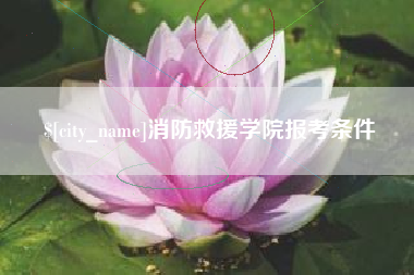 衢州消防救援学院报考条件