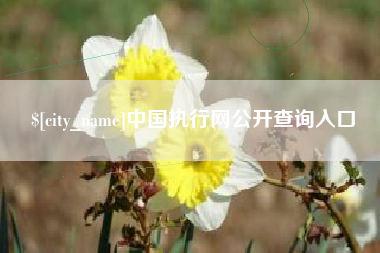 衢州中国执行网公开查询入口