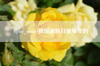 衢州我国消防日是每年的