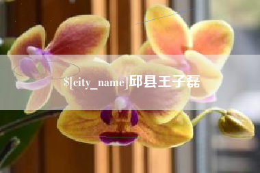 衢州邱县王子磊