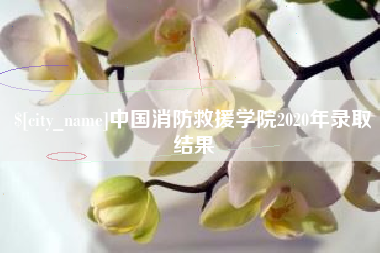 衢州中国消防救援学院2020年录取结果
