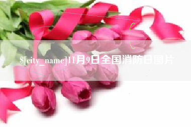衢州11月9日全国消防日图片