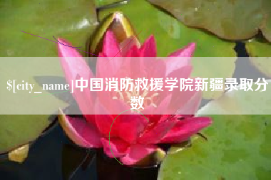 衢州中国消防救援学院新疆录取分数