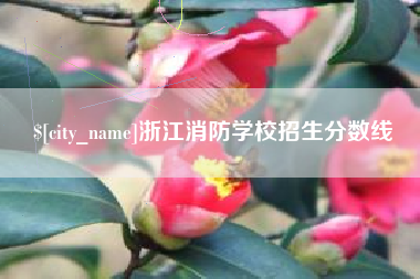 衢州浙江消防学校招生分数线