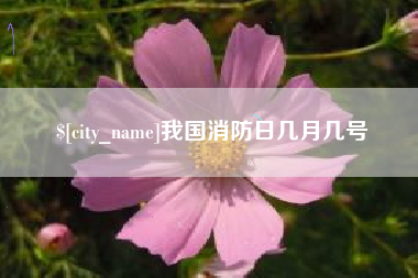 衢州我国消防日几月几号