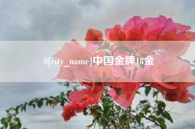 衢州中国金牌18金