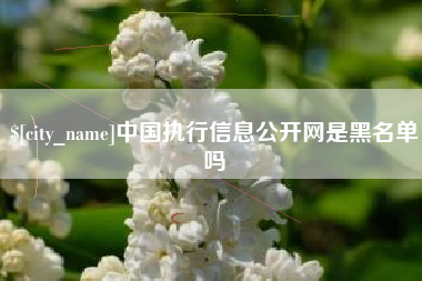 衢州中国执行信息公开网是黑名单吗