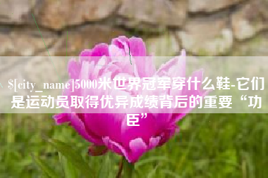 衢州5000米世界冠军穿什么鞋-它们是运动员取得优异成绩背后的重要“功臣”