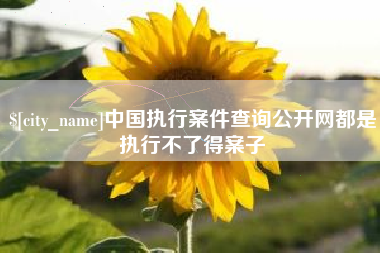 衢州中国执行案件查询公开网都是执行不了得案子
