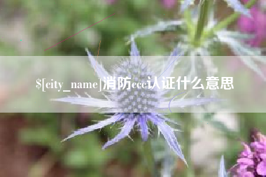 衢州消防ccc认证什么意思