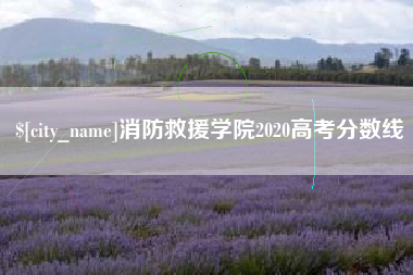 衢州消防救援学院2020高考分数线