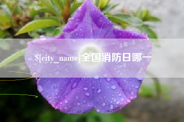衢州全国消防日哪一