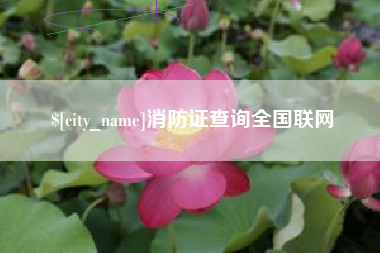 衢州消防证查询全国联网