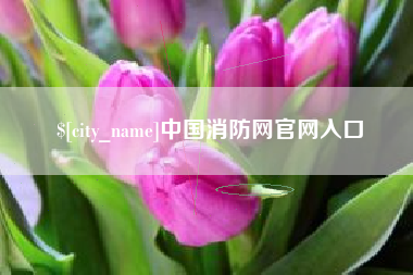 衢州中国消防网官网入口