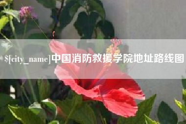 衢州中国消防救援学院地址路线图