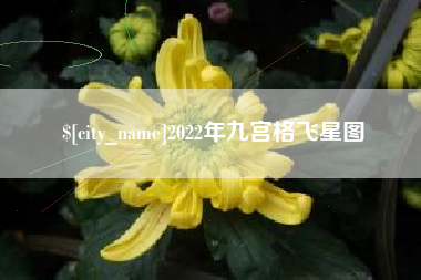 衢州2022年九宫格飞星图