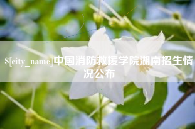 衢州中国消防救援学院湖南招生情况公布