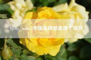 衢州中国金牌都是哪个项目