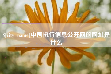 衢州中国执行信息公开网的网址是什么