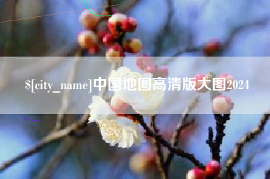 衢州中国地图高清版大图2024