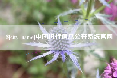 衢州中国执行信息公开系统官网