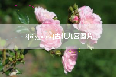衢州古代九宫图片