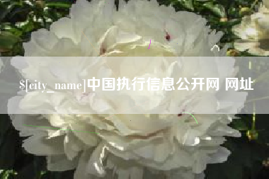 衢州中国执行信息公开网 网址