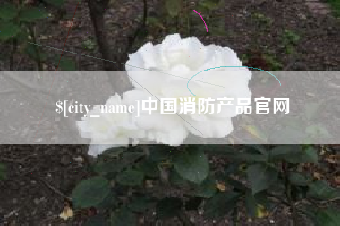 衢州中国消防产品官网