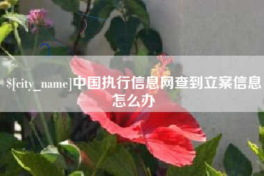 衢州中国执行信息网查到立案信息怎么办