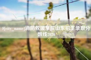 衢州消防救援学院山东招生录取分数线2020