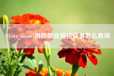 衢州消防职业资格证书怎么查询